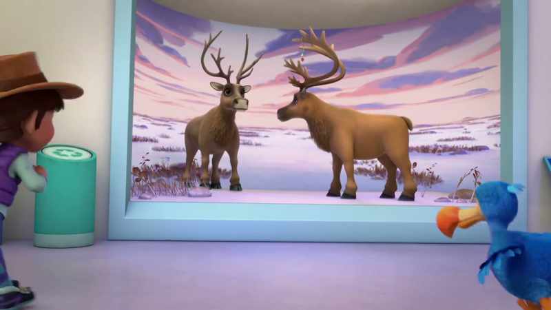 Careful! Caribou get real jumpy when you go into their exhibit