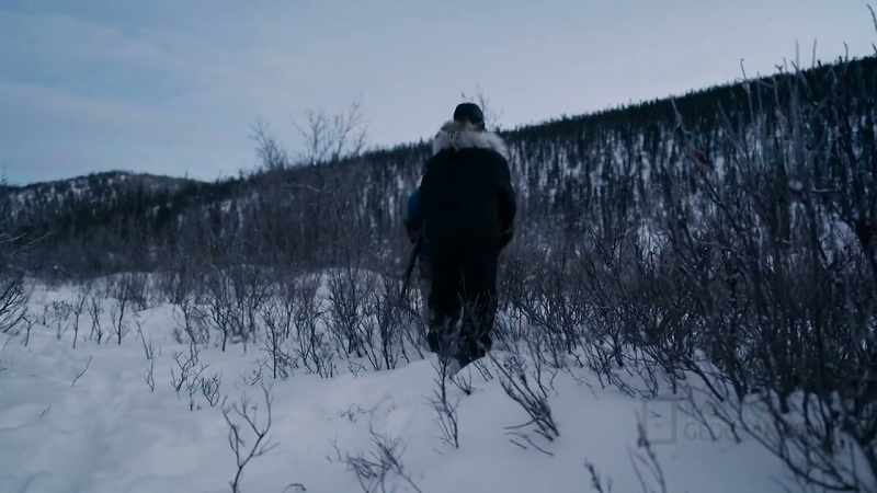Caribou are continually migrating through