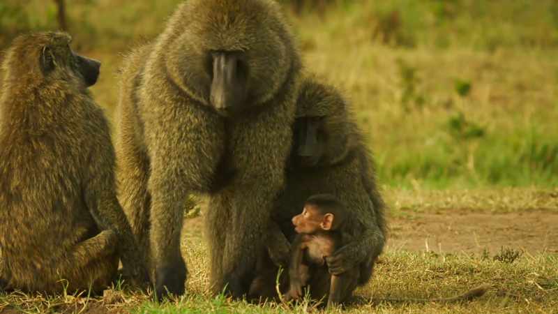 Caring for him has brought Bakari and Cheka closer