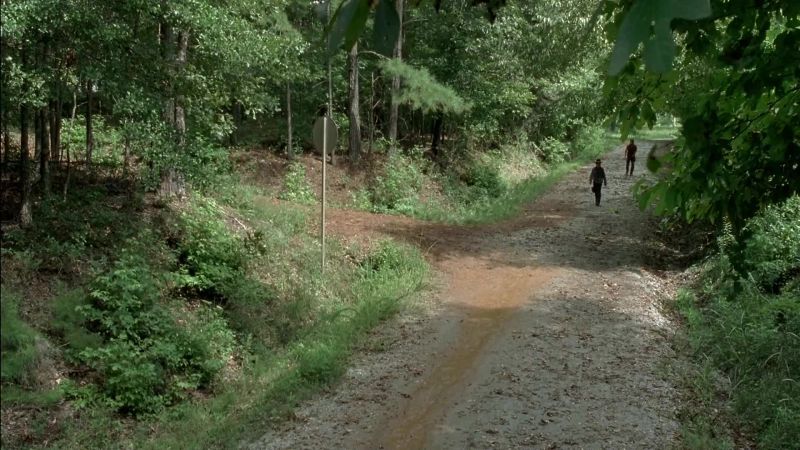 Carl, slow down