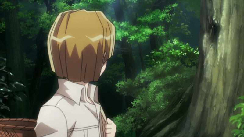 Carne Village was never attacked by monsters