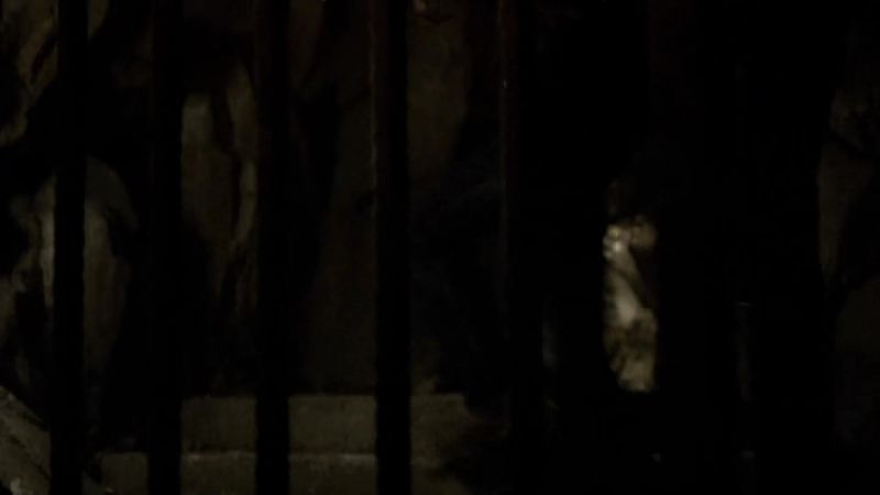 Caroline, the door's not going to hold