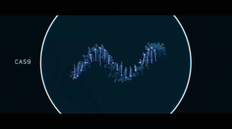 Cas9 cuts DNA based on an instruction that it carries