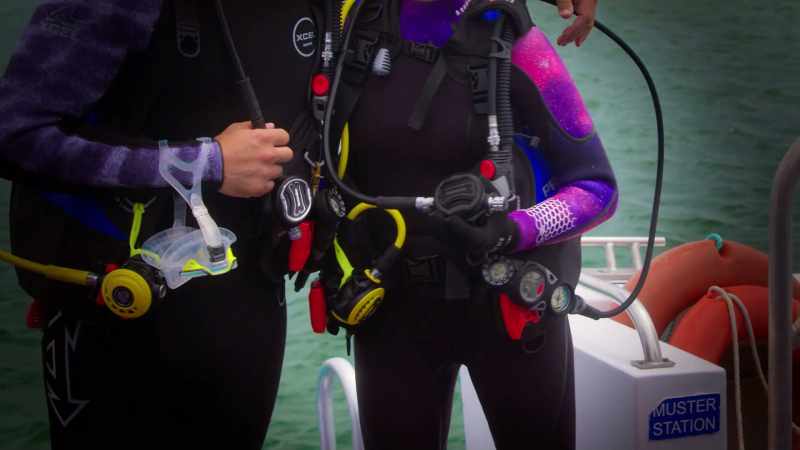 Cass's regulator was black before she went into the water