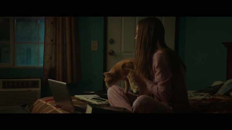 [cat purring]