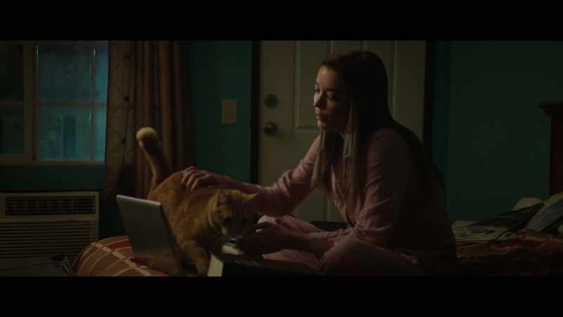 [cat purring]