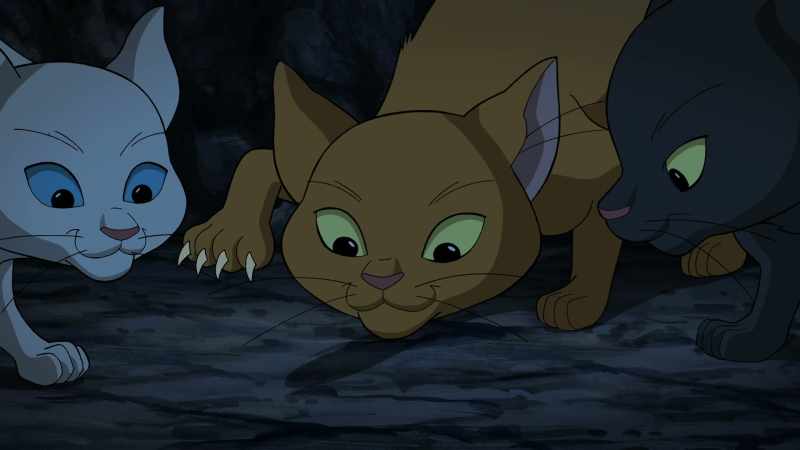 [CAT PURRS]
