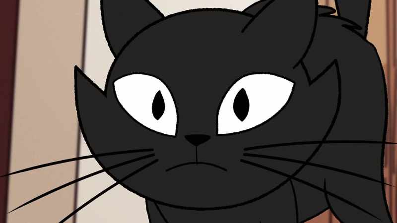 [cat yowls]