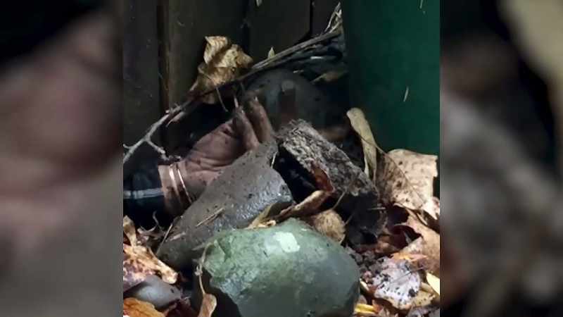 �Catching a neighbor encroaching upon our property