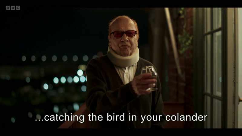 catching the bird in your colander
