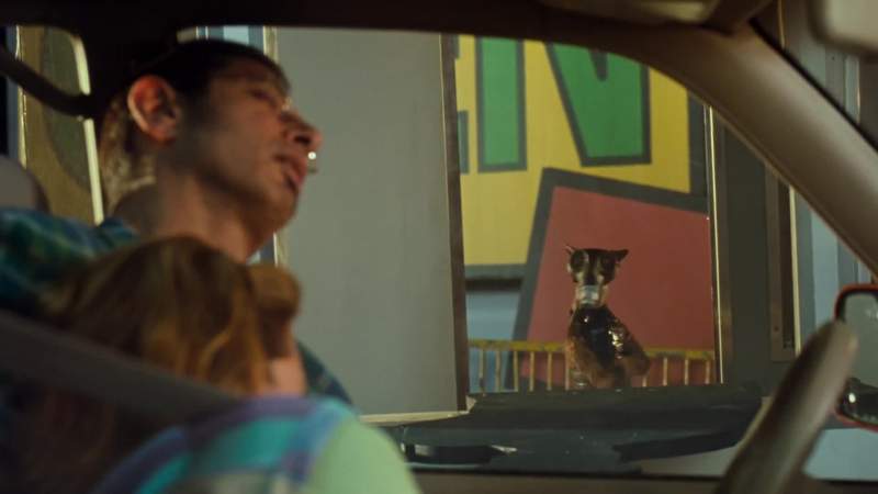 Cats rule cats rule