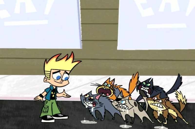 (CATS YOWL)