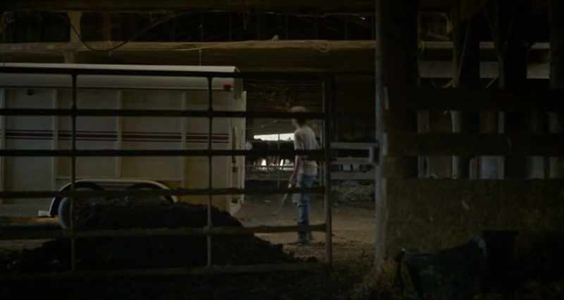 (CATTLE BELLOW)