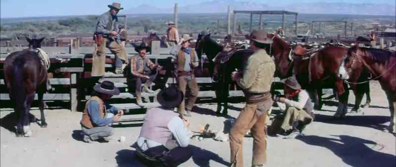 (Cattle lowing)