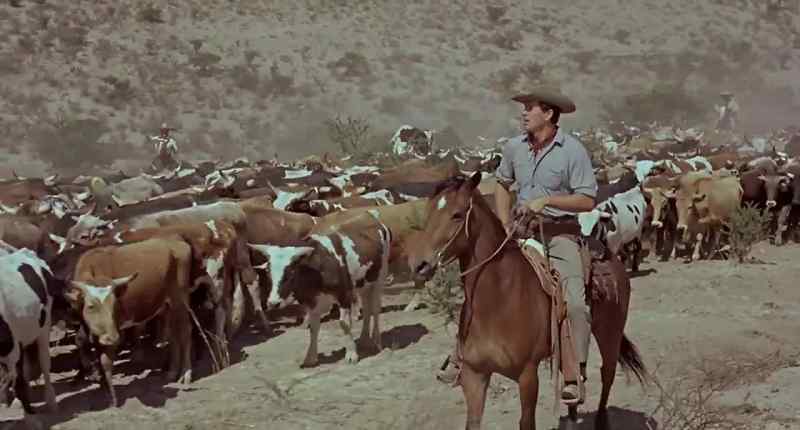 (CATTLE LOWING)