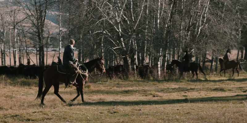 (CATTLE LOWING)