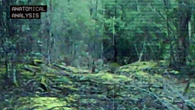 caught-on-low-resolution-surveillance-cams