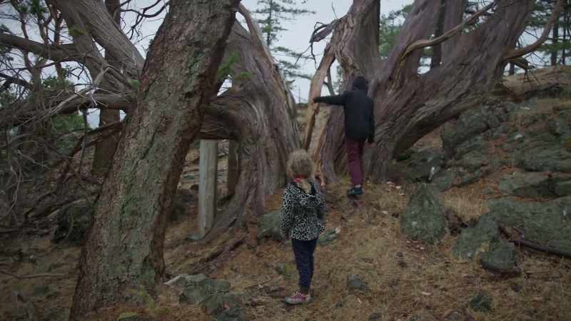 'Cause you can see why this tree is almost dead