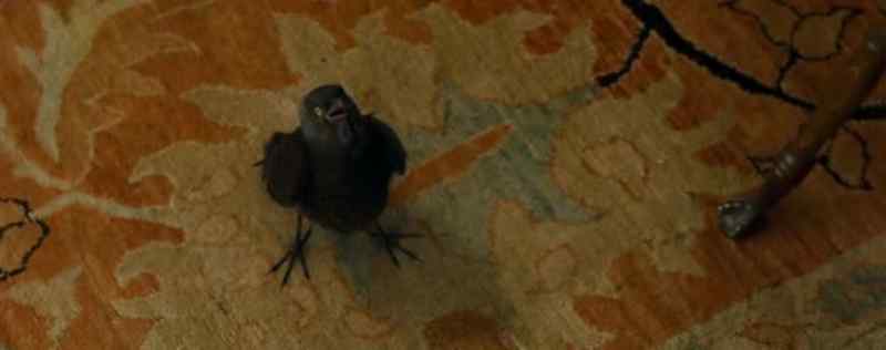 (CAWS)