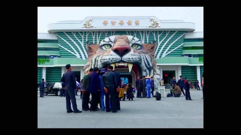 CENTRAL ZOO
