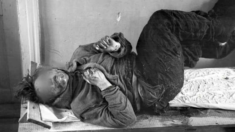 Certainly, the autopsy reports from the first five hikers