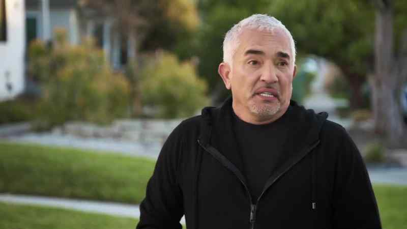 CESAR: My goodness, Bruce and Teddy, they're pent-up