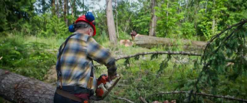 (chainsaw buzzing)