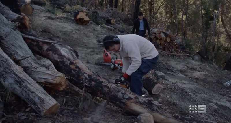 (CHAINSAW WHINES)