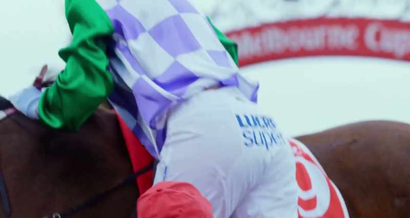 Champion rider