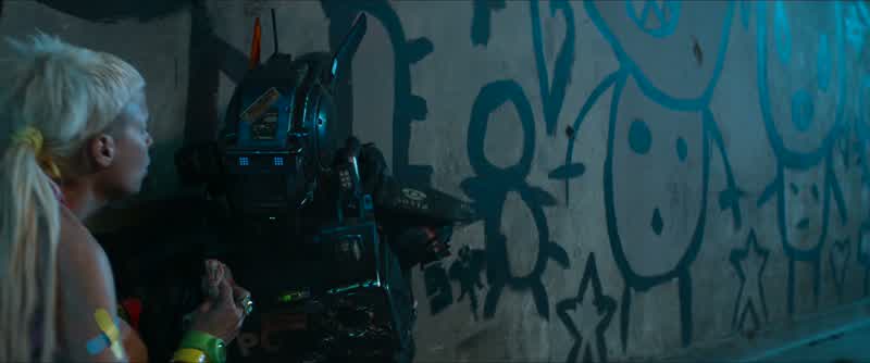 Chappie, who did this?