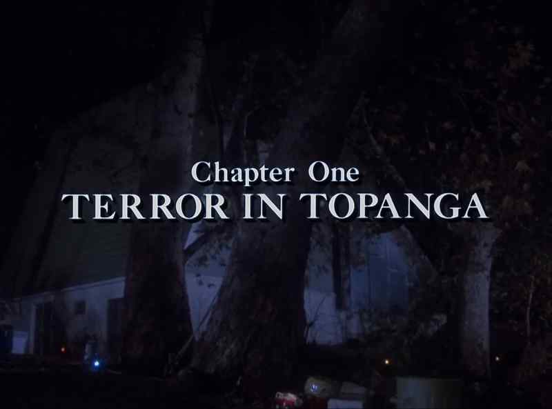 Chapter one terror in topanga