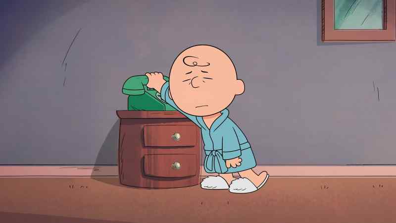 Charlie Brown, why is there so much noise coming from your backyard?