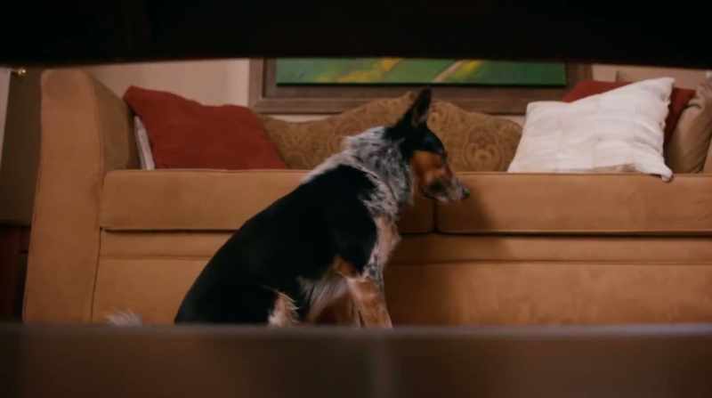 [Charlie] Whoa, whoa, whoa![Jose cackling]