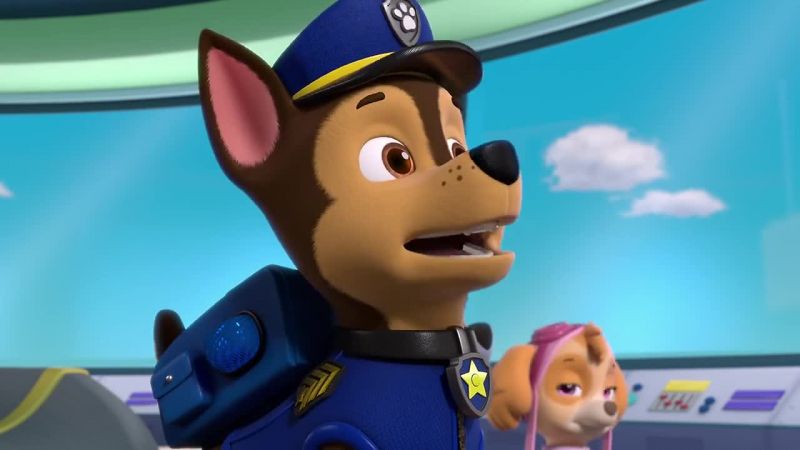 Chase is on the case