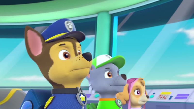 Chase is on the case