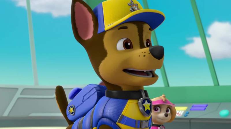 Chase is on the case