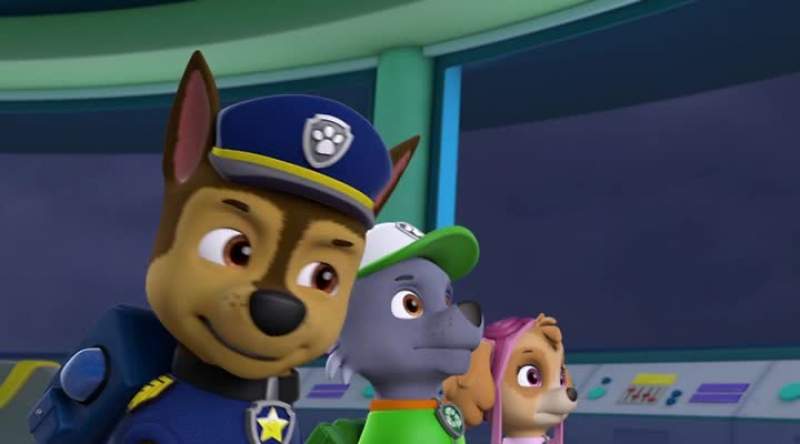 Chase is on the case