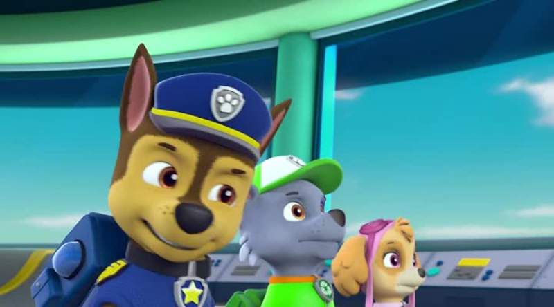 Chase is on the case