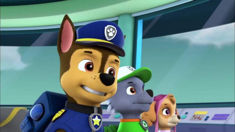 Chase is on the case
