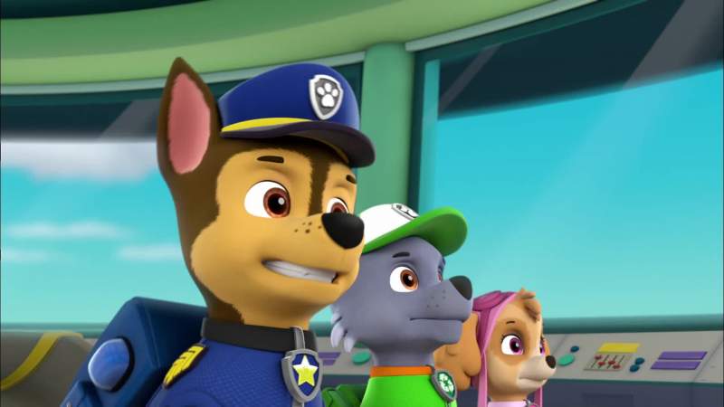Chase is on the case