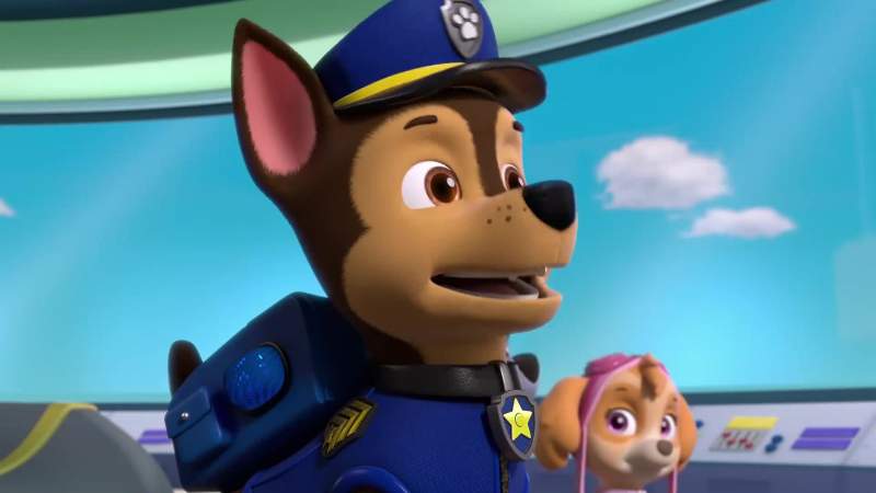 Chase is on the case