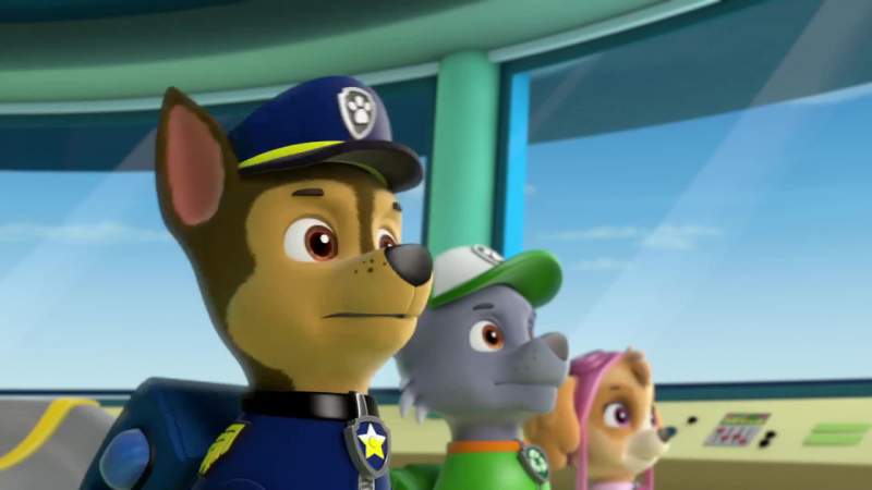 Chase is on the case