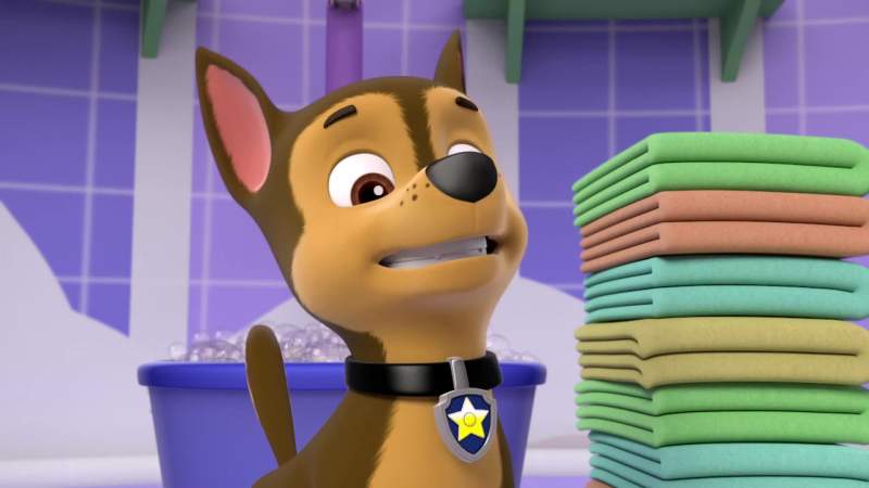 Chase is on the case sir