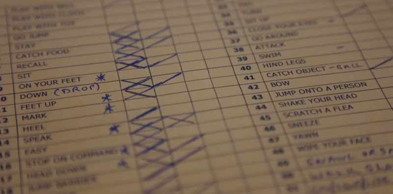 Checklists, there's schedules