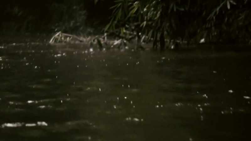 CHEMBOL HAD BEEN ATTACKED BY SOMETHING IN THE RIVER