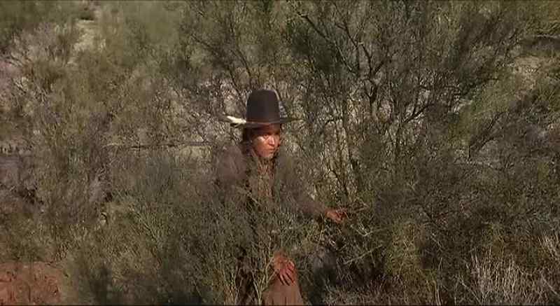 Cheyenne, sir. - Good. Good. Feed them