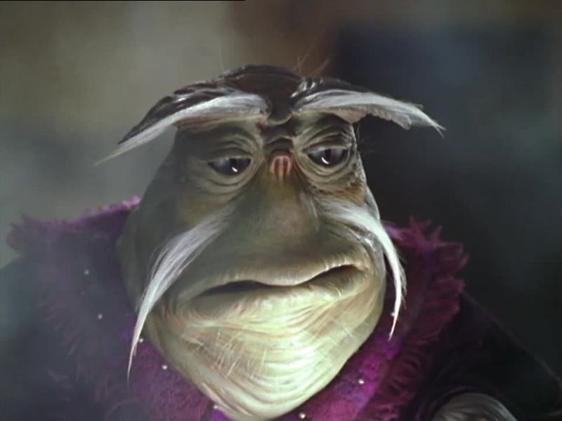 Chiana: Do you recognize the species?