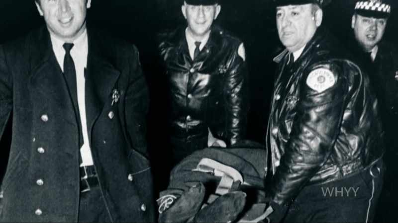 Chicago police took 'em out