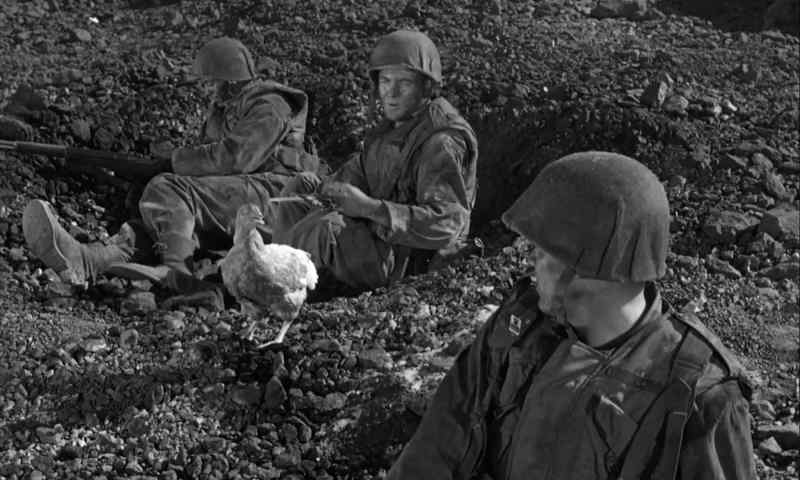 [chicken squawks]