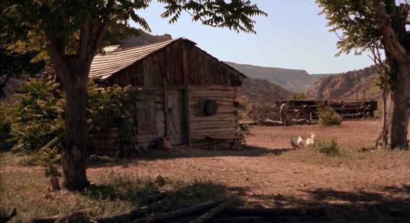 (CHICKENS CLUCKING)